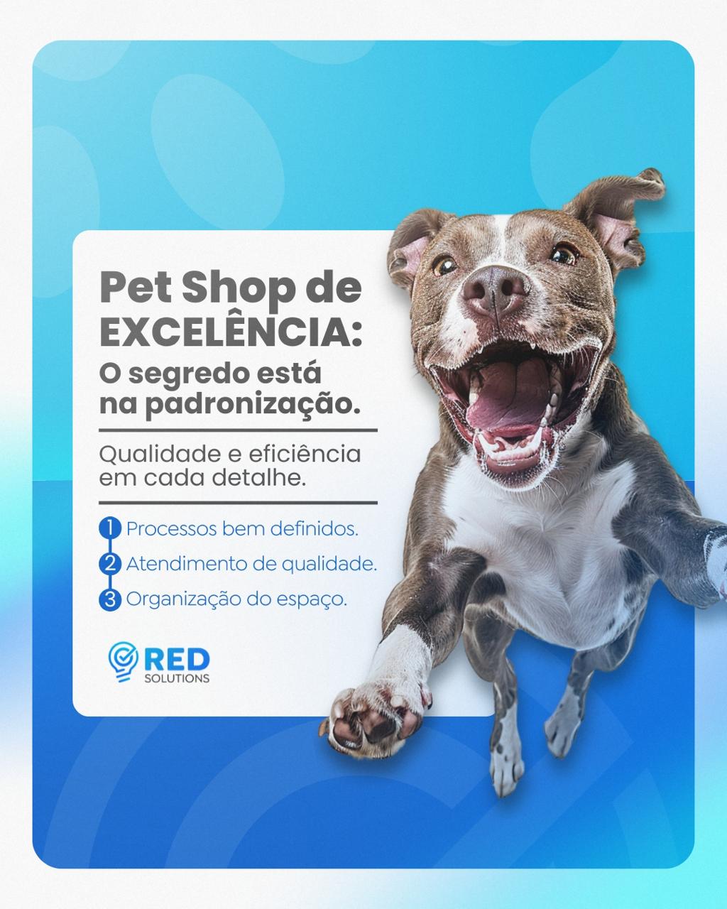Pet Shop de Excelência